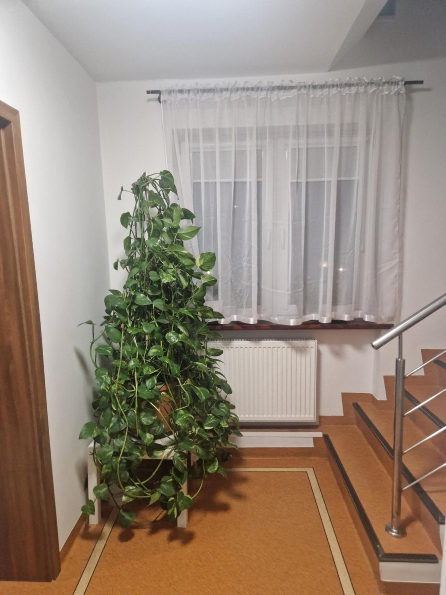 Noclegi Budomas Budget Wroclaw-Szymanow Freeparking Smarttv 外观 照片
